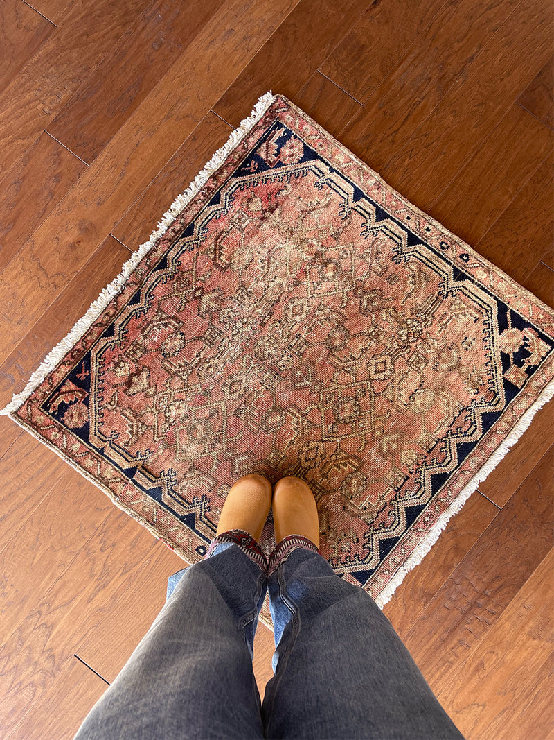 a mini hamadan rug, almost perfectly square in proportion with a coral field, a taupe floral pattern and a near black border