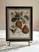 Framed Italian parchment: Martin sec