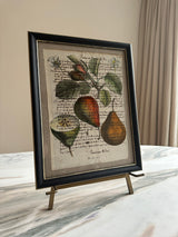 Framed Italian parchment: Martin sec
