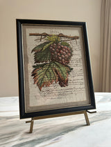 Framed Italian parchment: Muscat rouge