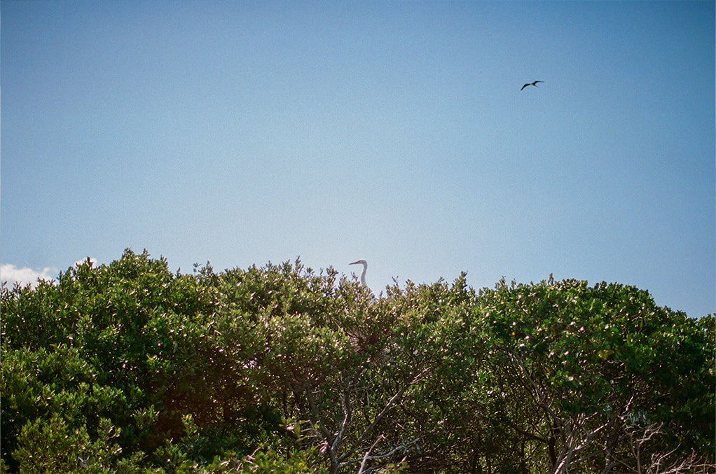 Bespoke steel staircase reveal