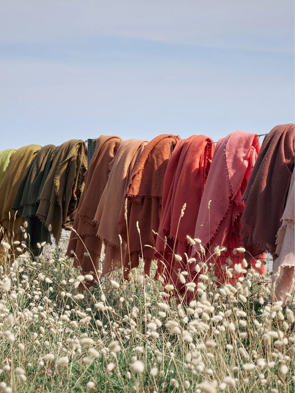 Fringed cashmere throw in Blush