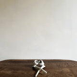 Antique clay smoking pipes