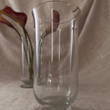 Antique etched glass apothecary beakers (pair)