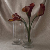 Antique etched glass apothecary beakers (pair)