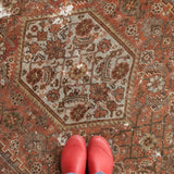 Aveline, antique medium rug