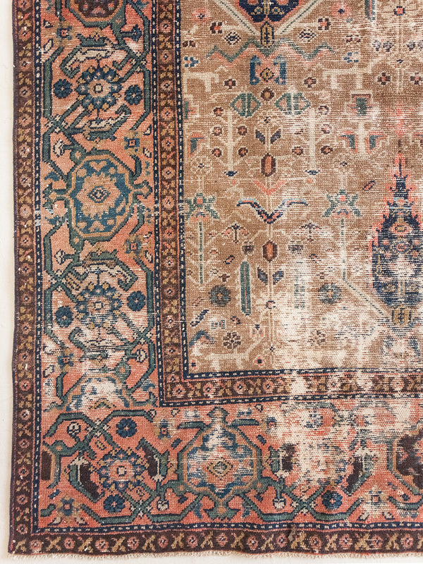 Bausch, Heirloom