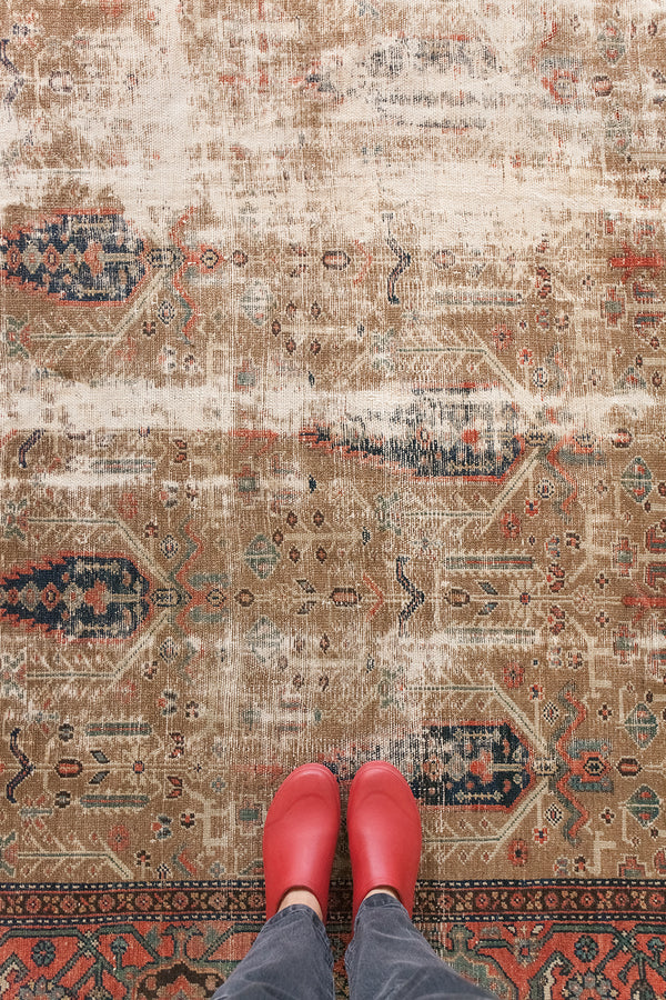 Bausch, Heirloom
