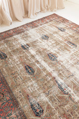 Bausch, Heirloom