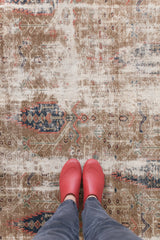 Bausch, Heirloom