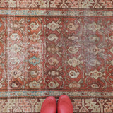 Benny, antique runner