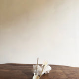 Antique mother of pearl caviar servers I