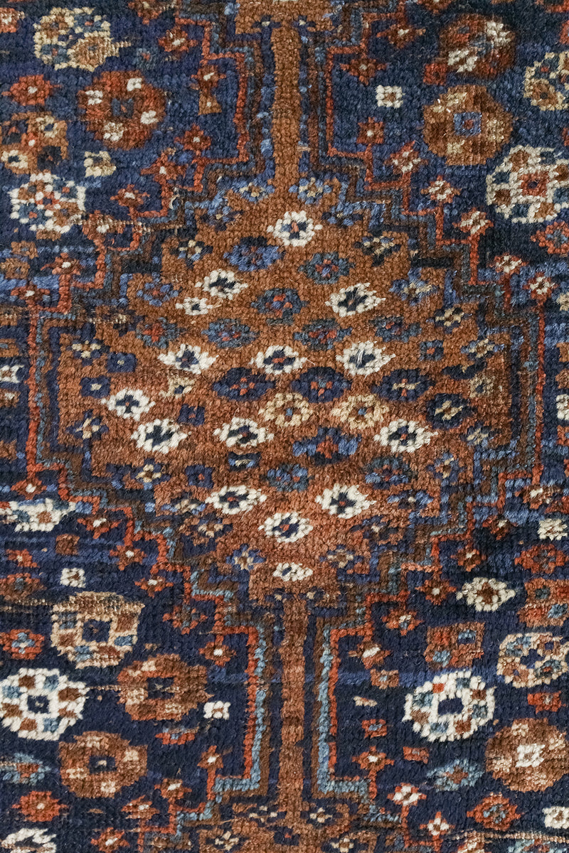 Cedar