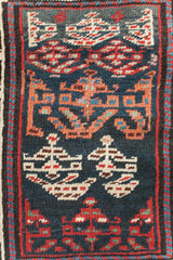 Dova