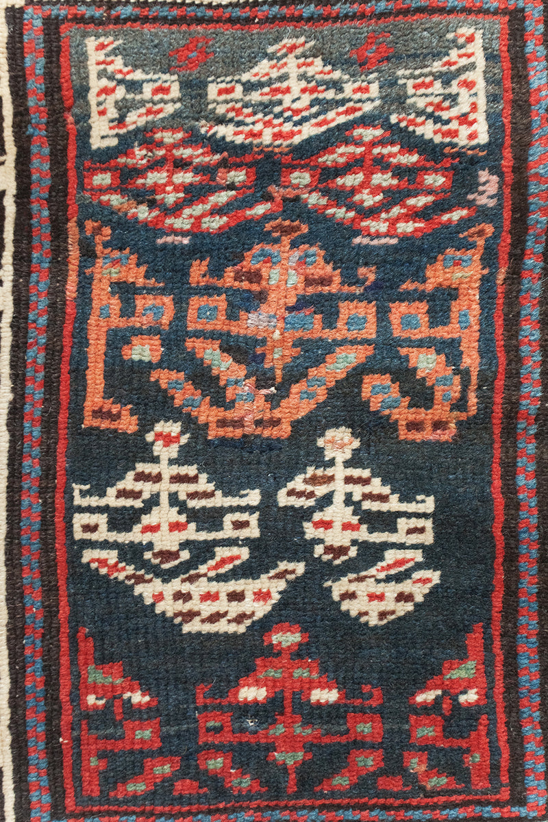 Dova