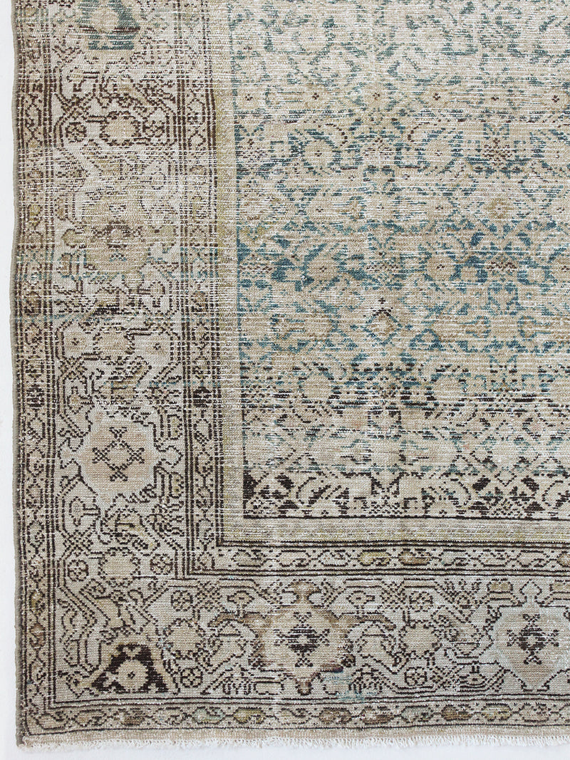 Fayette, Heirloom
