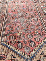 a mini antique malayer rug with a coral field and a pretty floral trellis pattern in blue, yellow and green