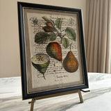 Framed Italian parchment: Martin sec