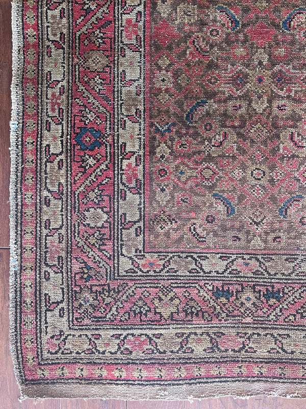 an antique malayer rug with a brown field and a pink trellis pattern