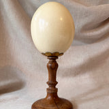 Antique ostrich egg