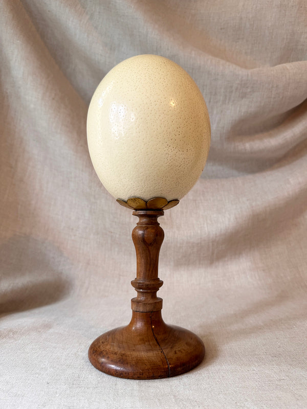 Antique ostrich egg