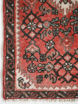 Perpetua