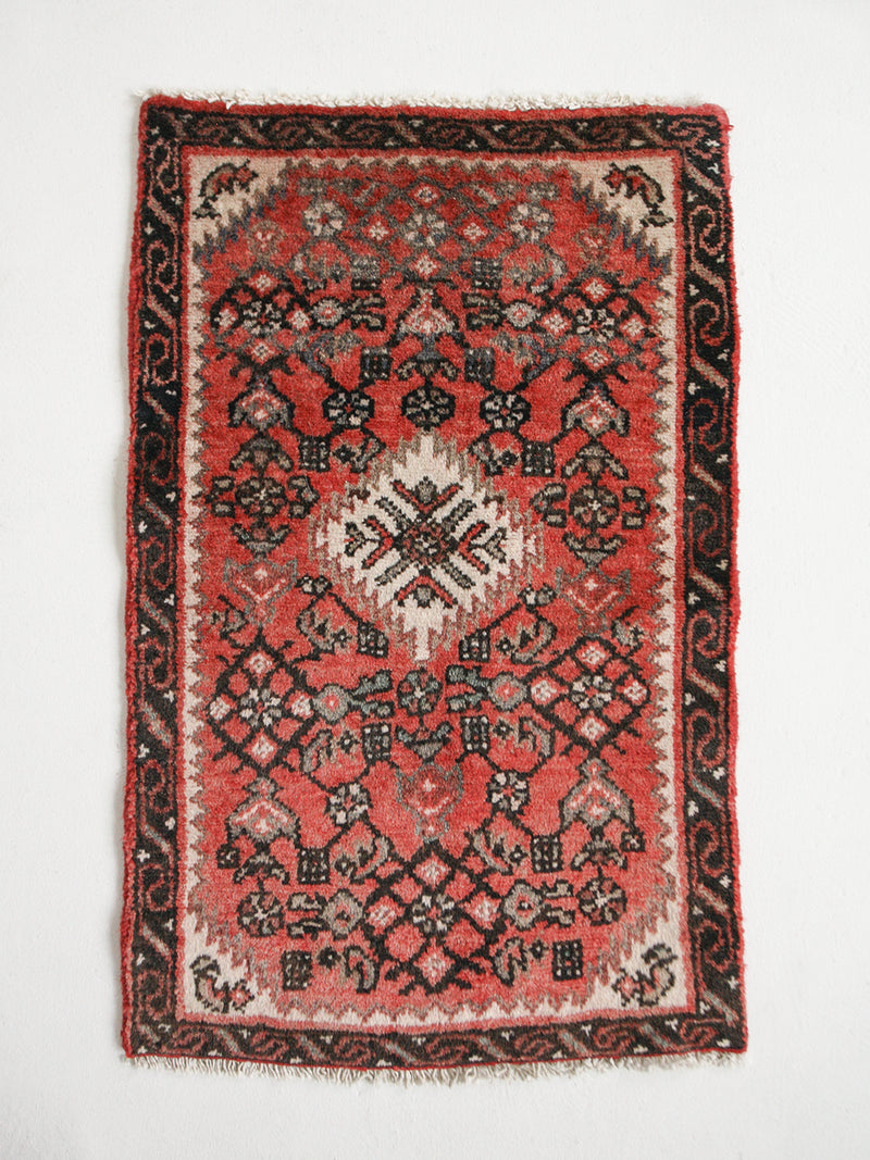 Perpetua