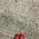 Prudence, antique XL rug