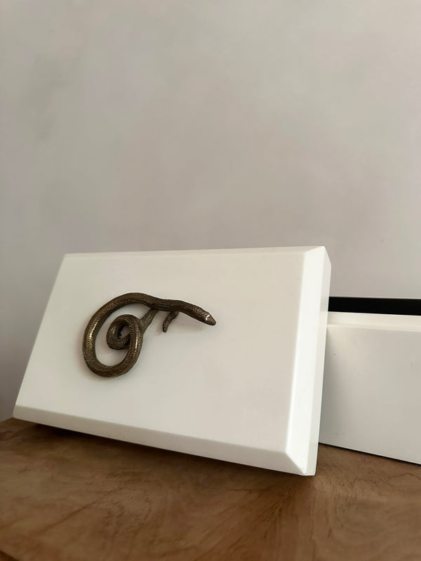 Wooden snake box