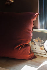 Palazzo velvet Pillow in Tomette