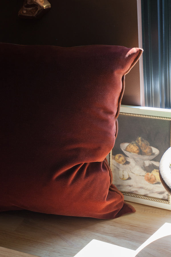 Palazzo velvet Pillow in Tomette