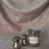 VIntage mushroom salt & pepper shakers