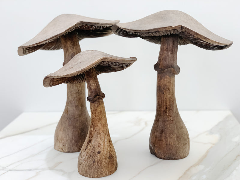 Wooden Mushrooms (Set of 3)