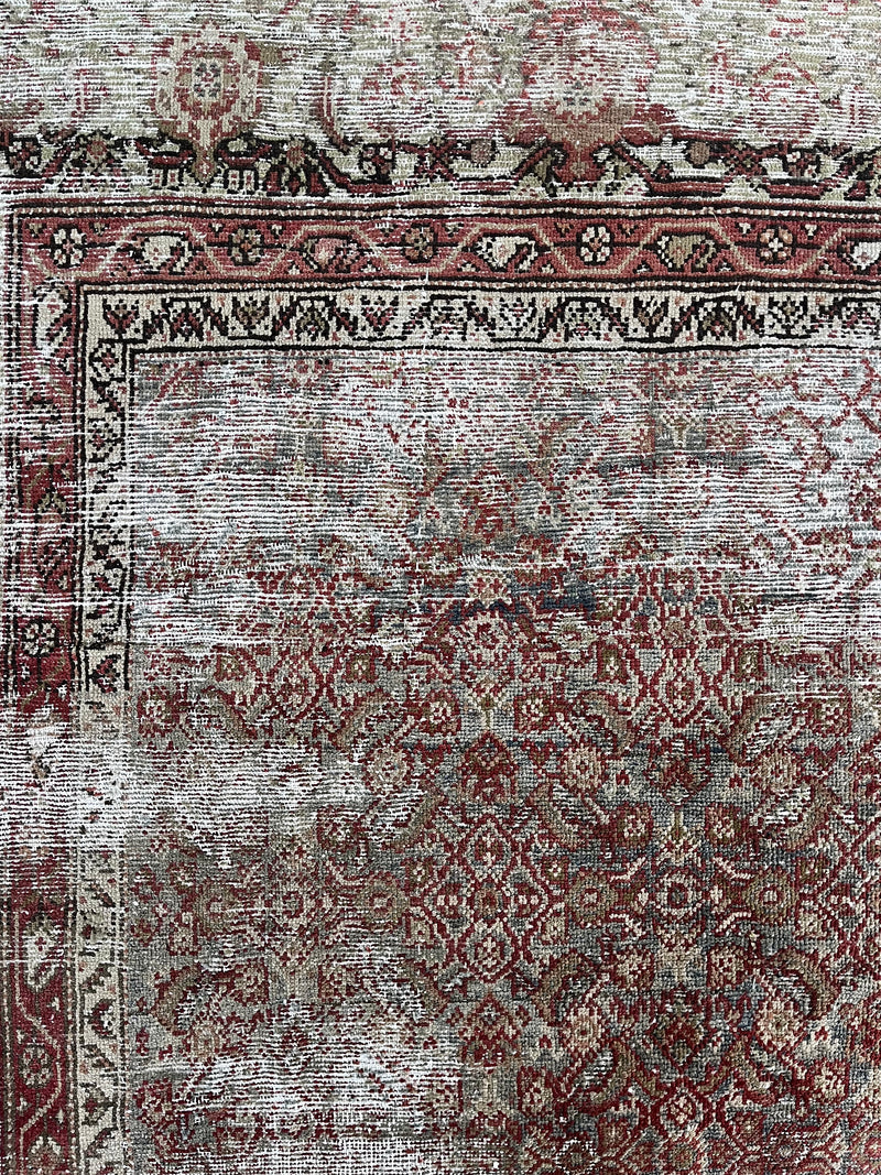 an antique heirloom mahal rug with teal and brown tones and fine floral palette