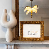 In Omnia Paratus print